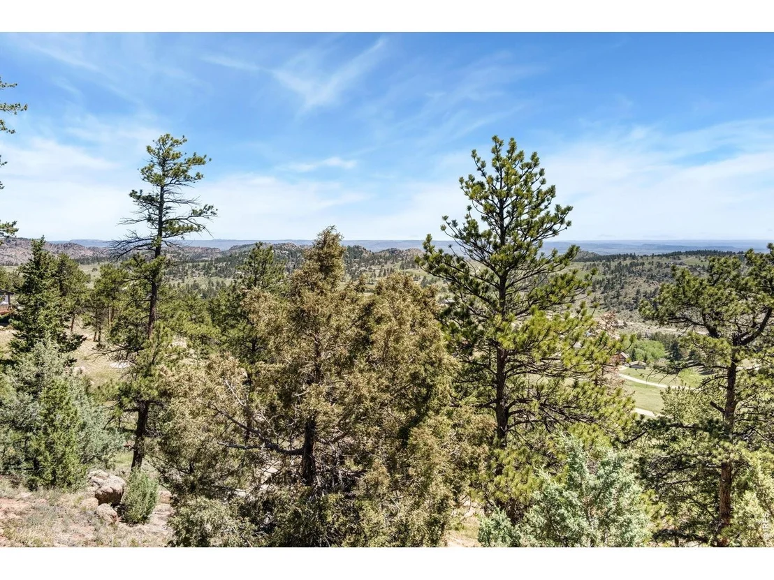 Photo of 298 Mount Massive Dr