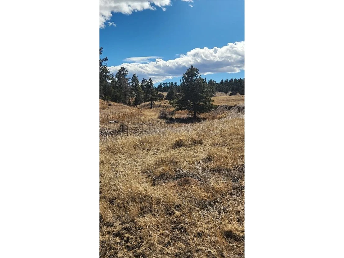 Photo of 311 Kit Carson Trl