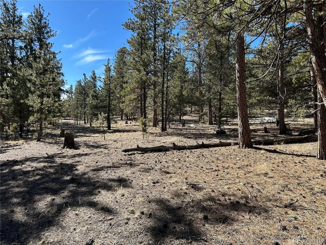 Photo of 147 Haystack Rd