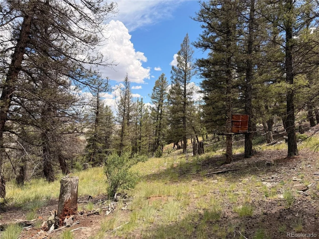 Photo of 1348 Middle Fork Vis