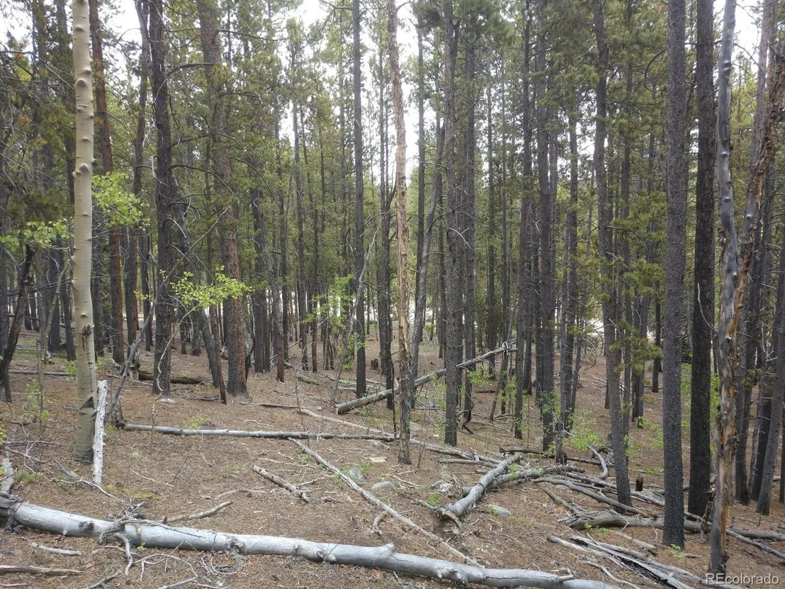 Photo of 317 Ski Doo Rd