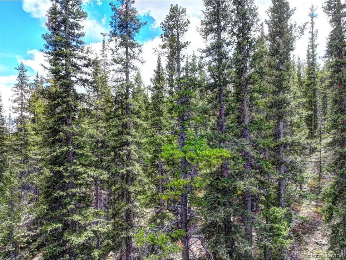 Photo of 0 Dry Gulch Rd