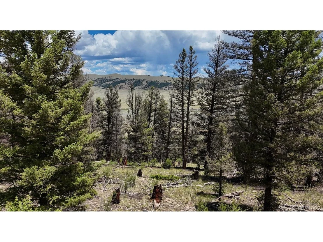 Photo of 1348 Middle Fork Vis