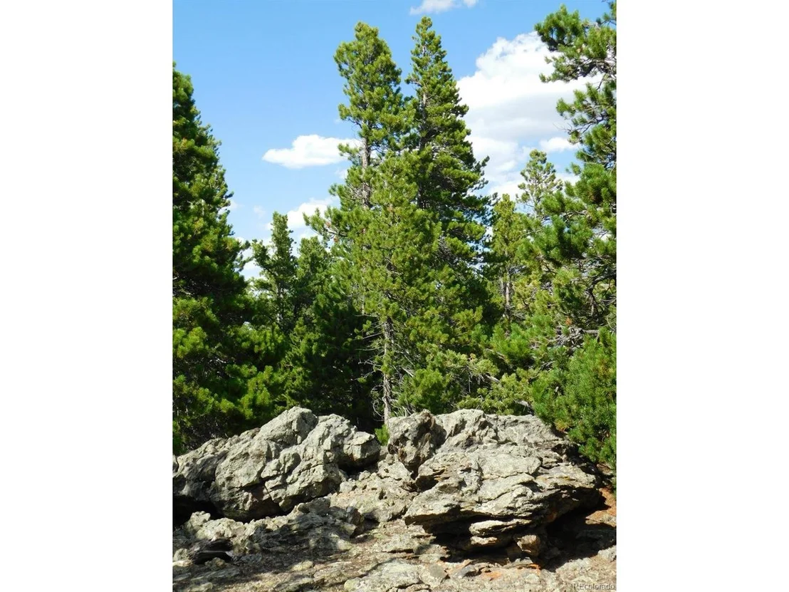 Photo of 2 Roosevelt Ridge Rd