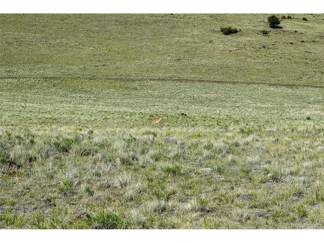 Photo of 0 Bear Cat Rd