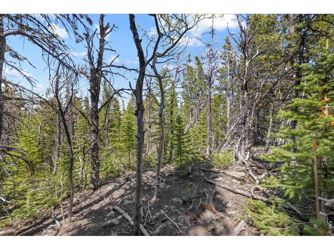 Photo of 1199 Brainard Lake Rd