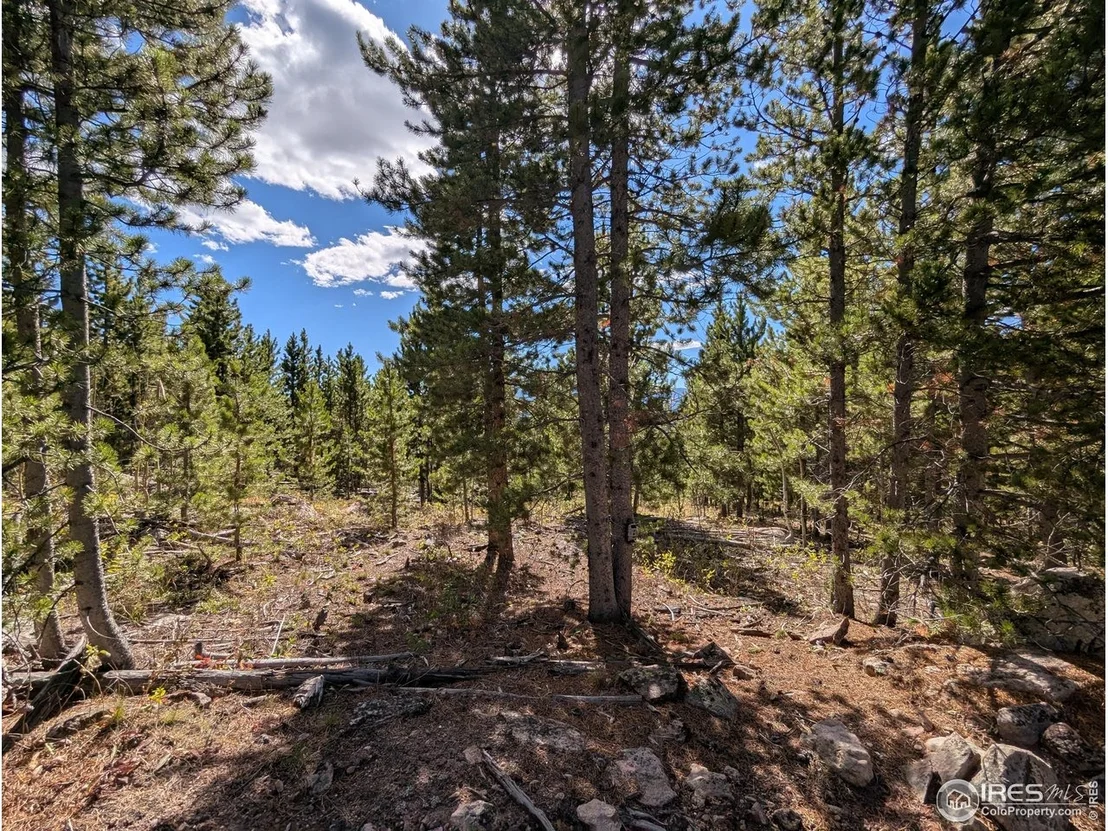 Photo of 2174 Bear Gulch Rd