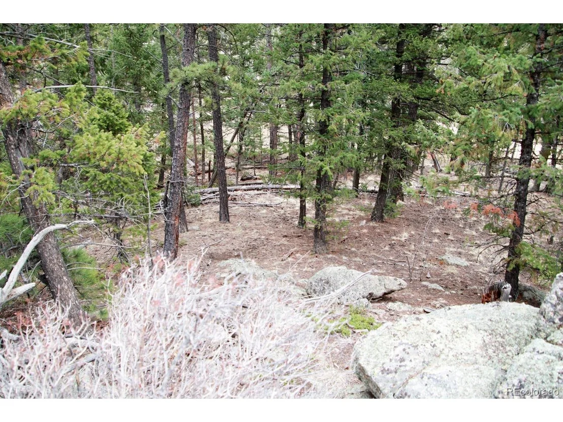 Photo of 449 Forest Dr