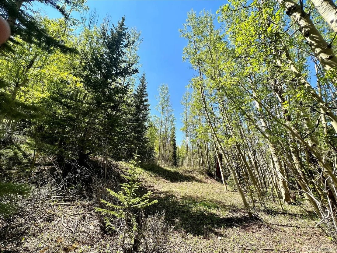 Photo of 529 Roberts Rd