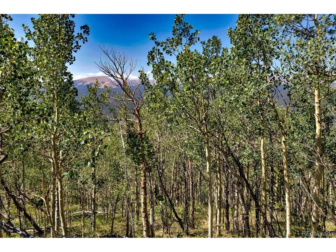Photo of 497 TEN HIGH Ln
