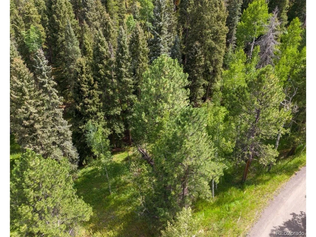 Photo of 28380 Pine Trl
