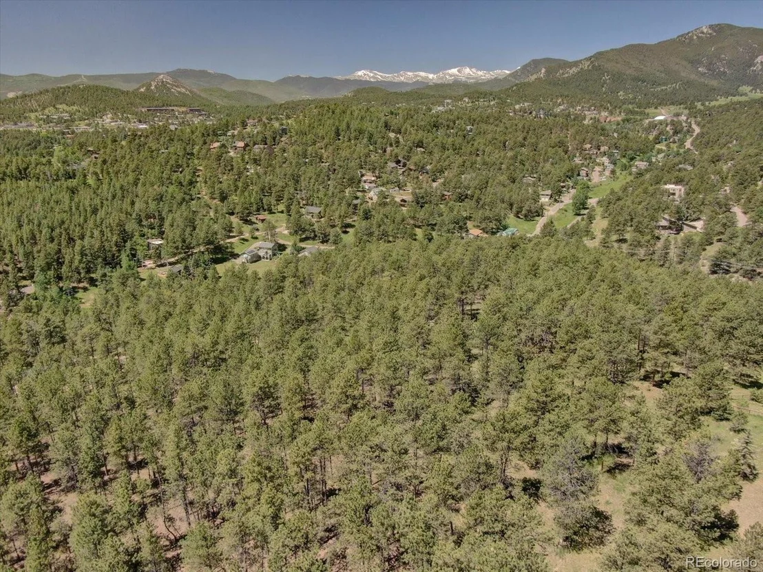 Photo of 29577 Larkspur
