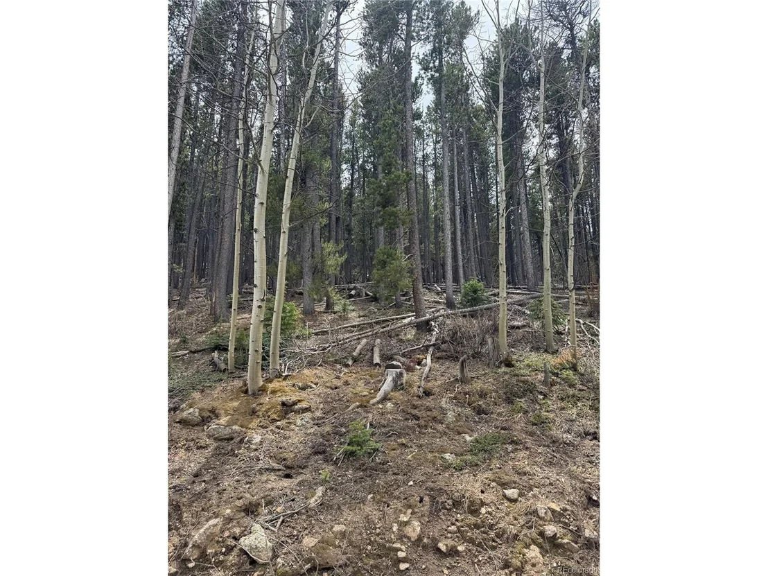 Photo of 24 Highpoint Cir