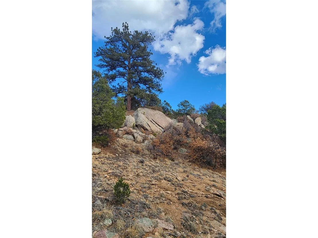 Photo of 47 White Cloud Dr