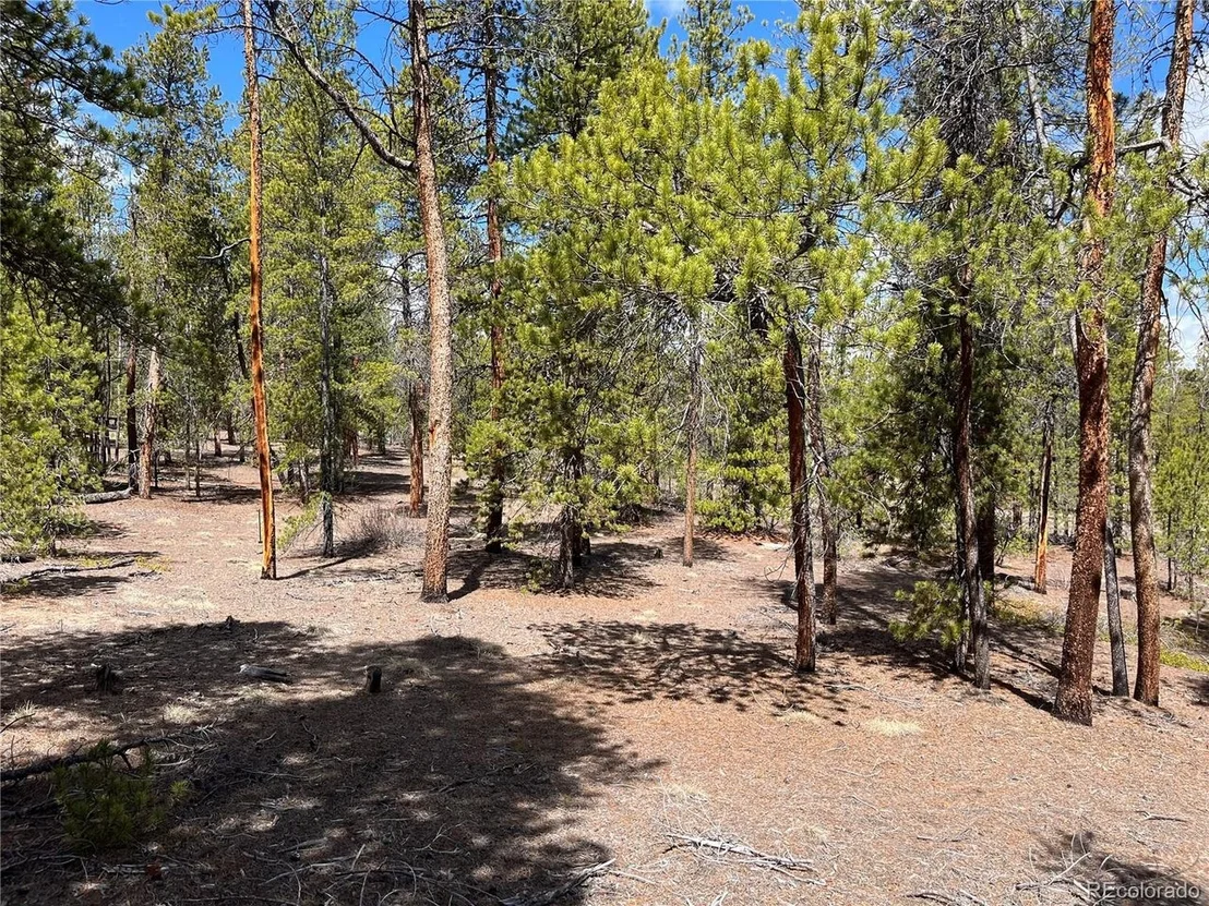 Photo of 1013 Sequoia Dr