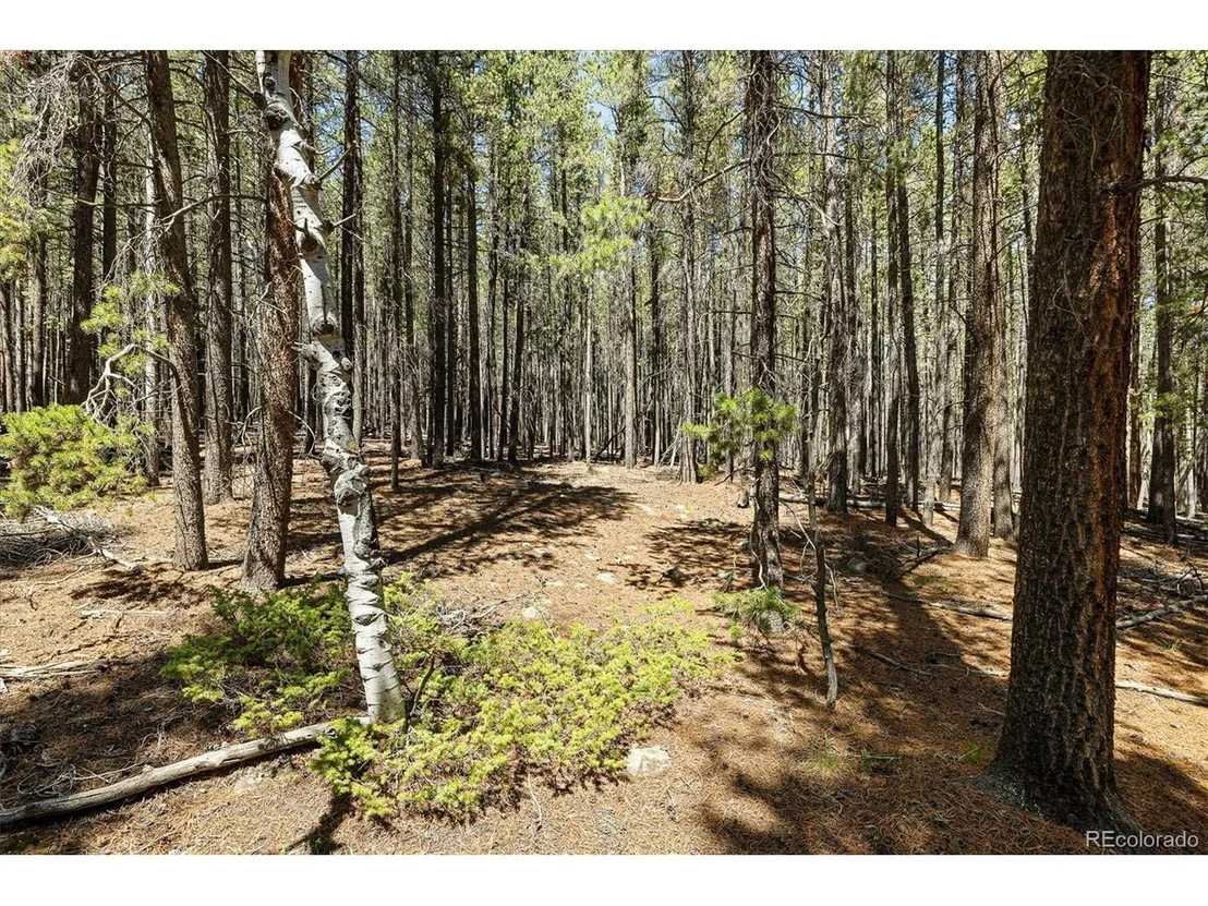 Photo of 0 Spruce Way