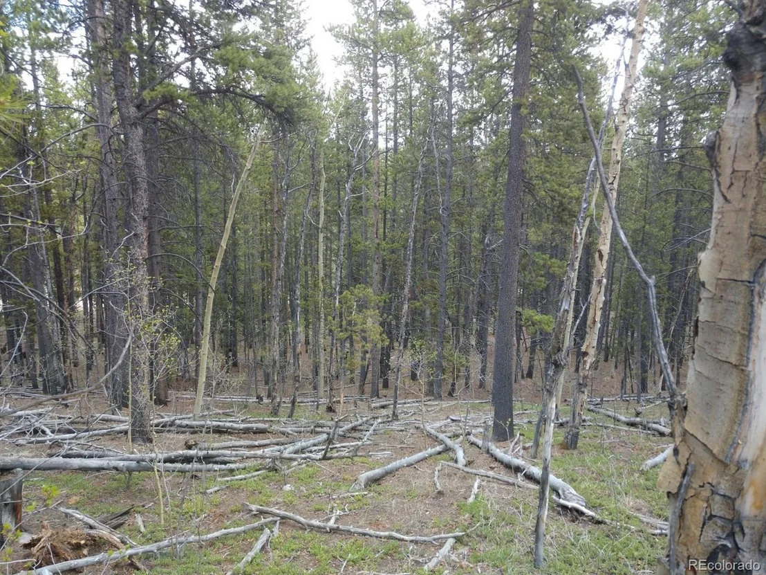 Photo of 317 Ski Doo Rd