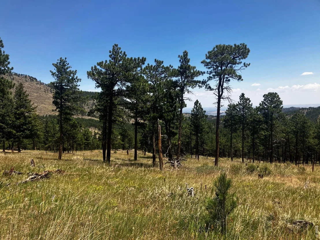 Photo of 5550 Sunshine Canyon Dr