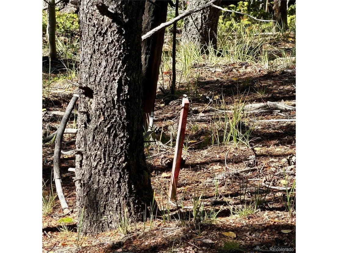 Photo of 773 Timber Ridge Rd