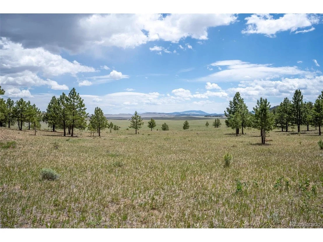 Photo of 2883 Wagon Wheel Rd