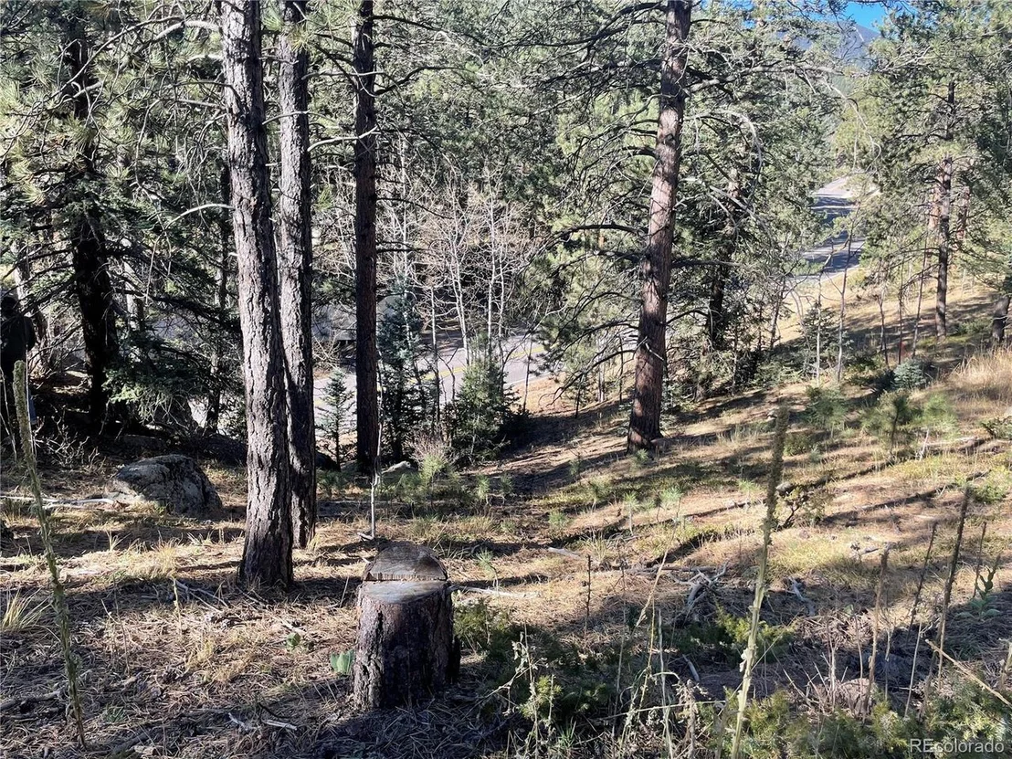 Photo of Shadow Mountain Dr