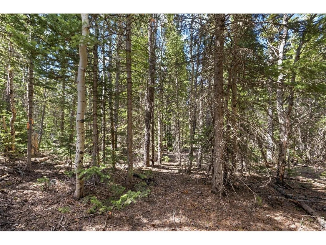 Photo of 1199 Brainard Lake Rd