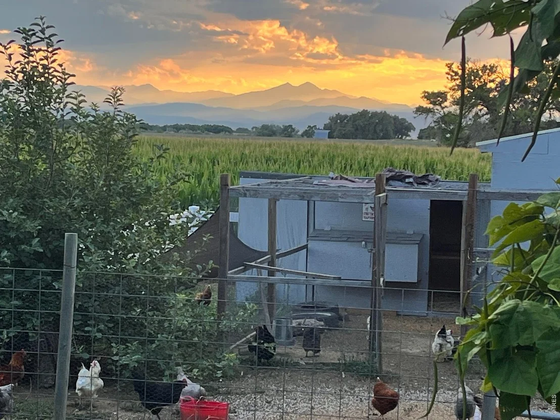 Photo of 11576 County Road 52
