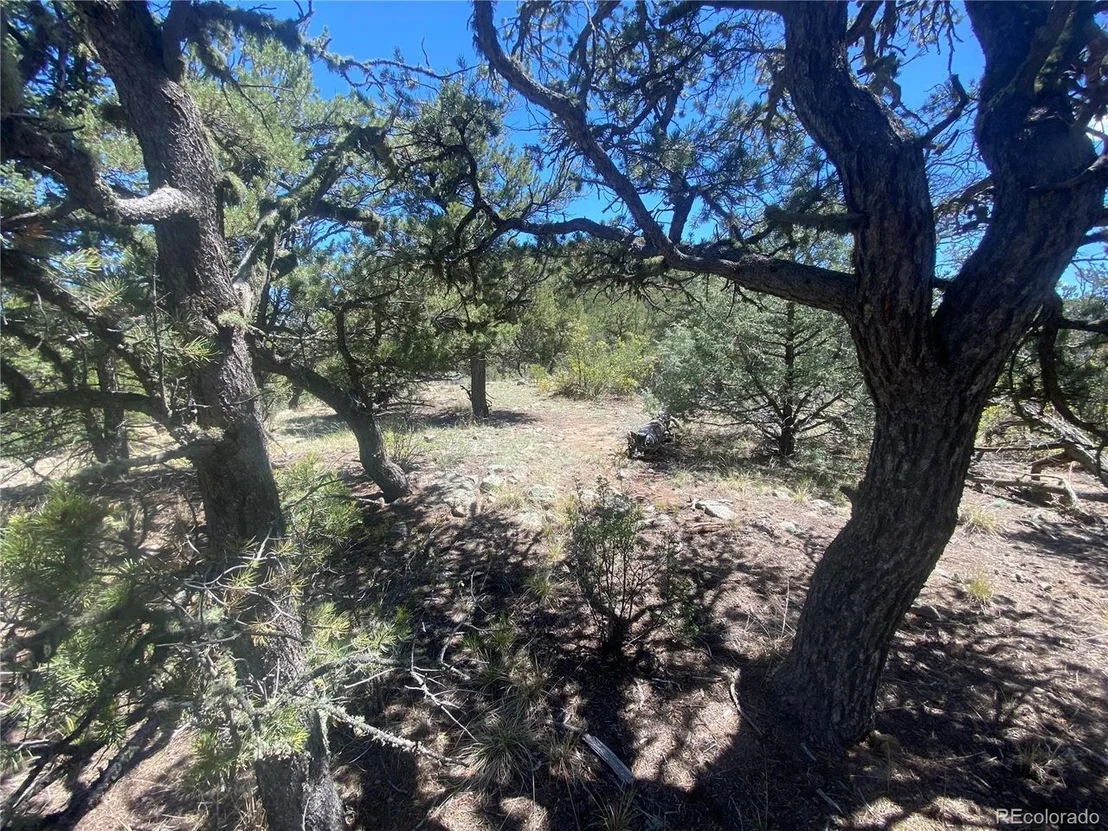 Photo of 142 17th Trl