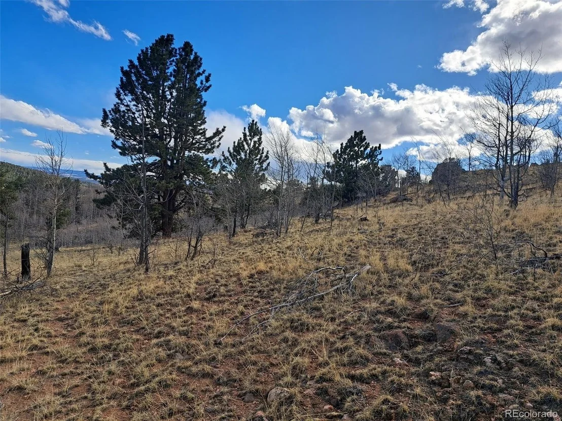 Photo of 908 Raven Way