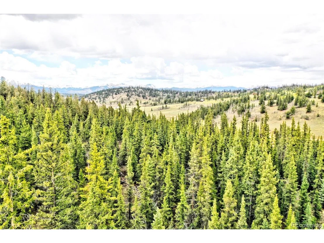 Photo of 243 Bear Way