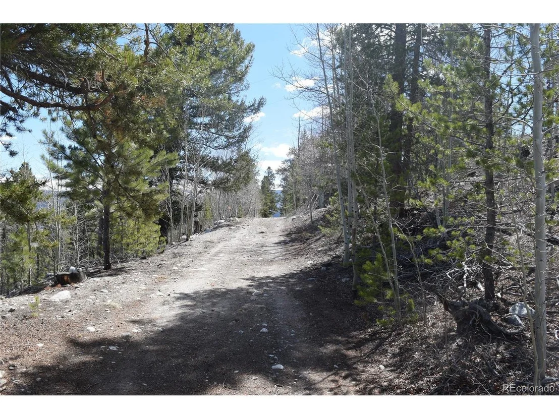 Photo of 483 Mt. Elbert Dr