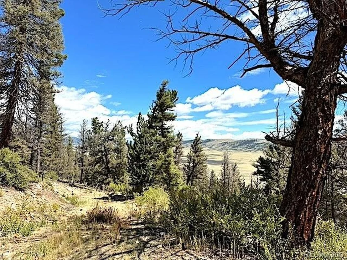 Photo of 2022 Middle Fork Vis