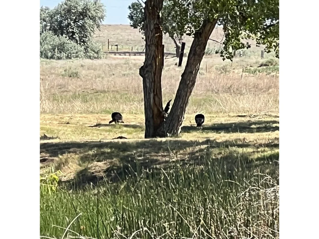 Photo of 26247 County Road 2