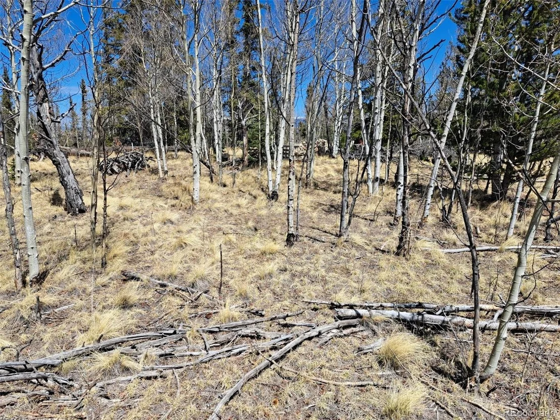 Photo of 730 Tepee Trl