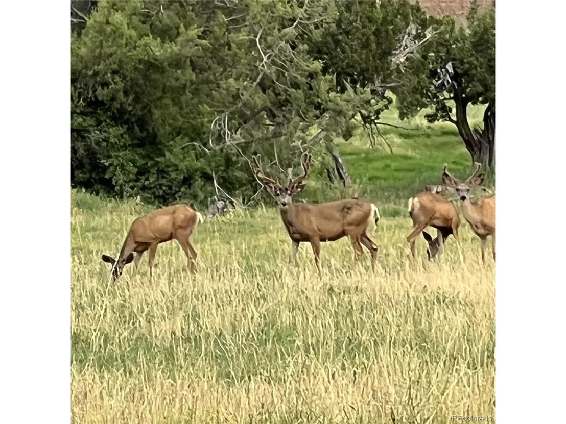 Photo of 2997 Road 20.5