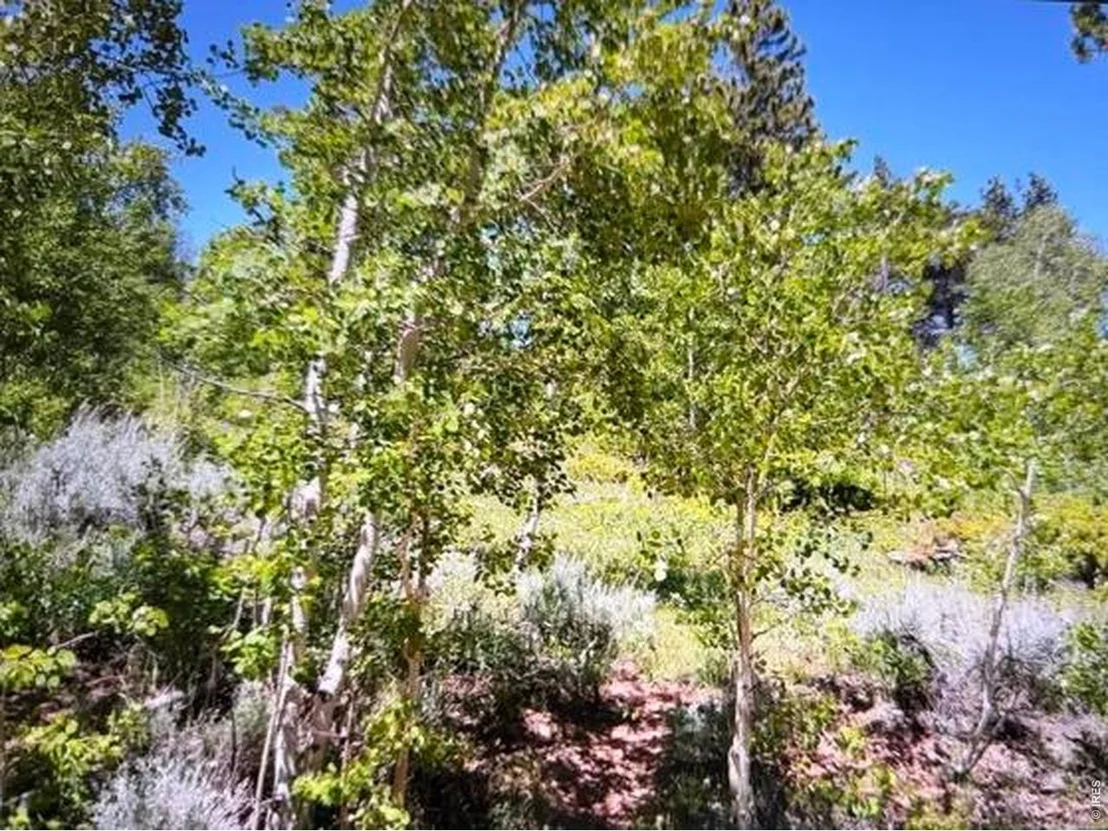Photo of 215 Murdock Dr