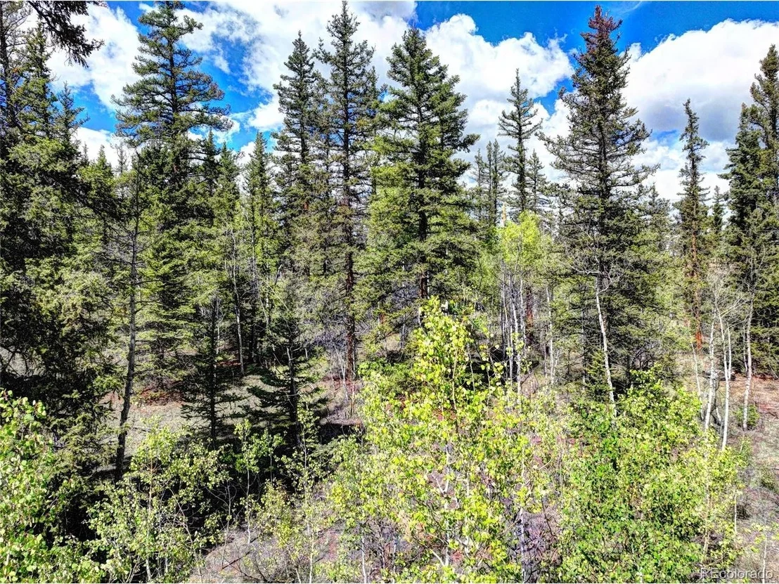 Photo of 75 Swiggler Rd