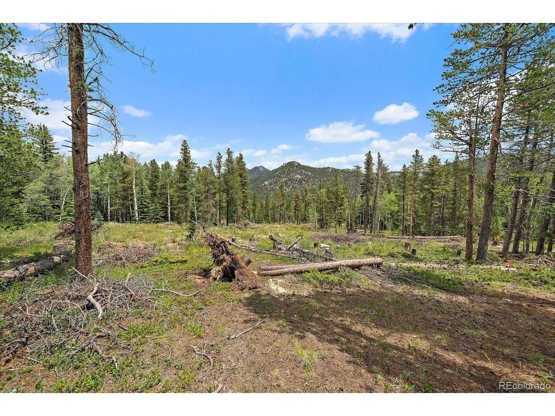 Photo of 151 Golden Leaf Way
