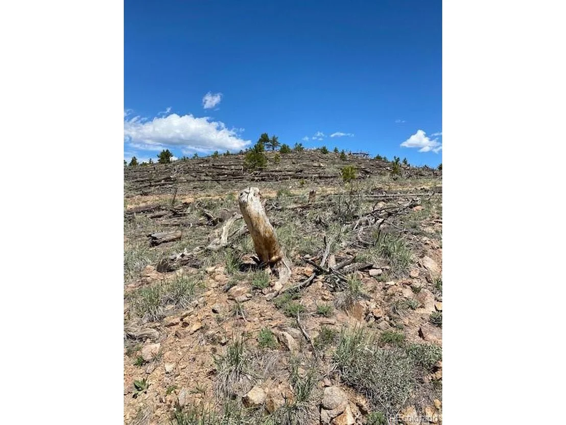 Photo of 1009 County Road 87J