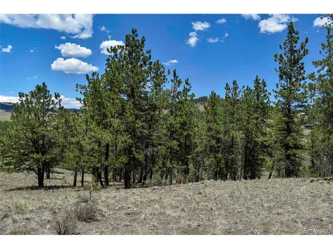 Photo of 4278 County Road 71