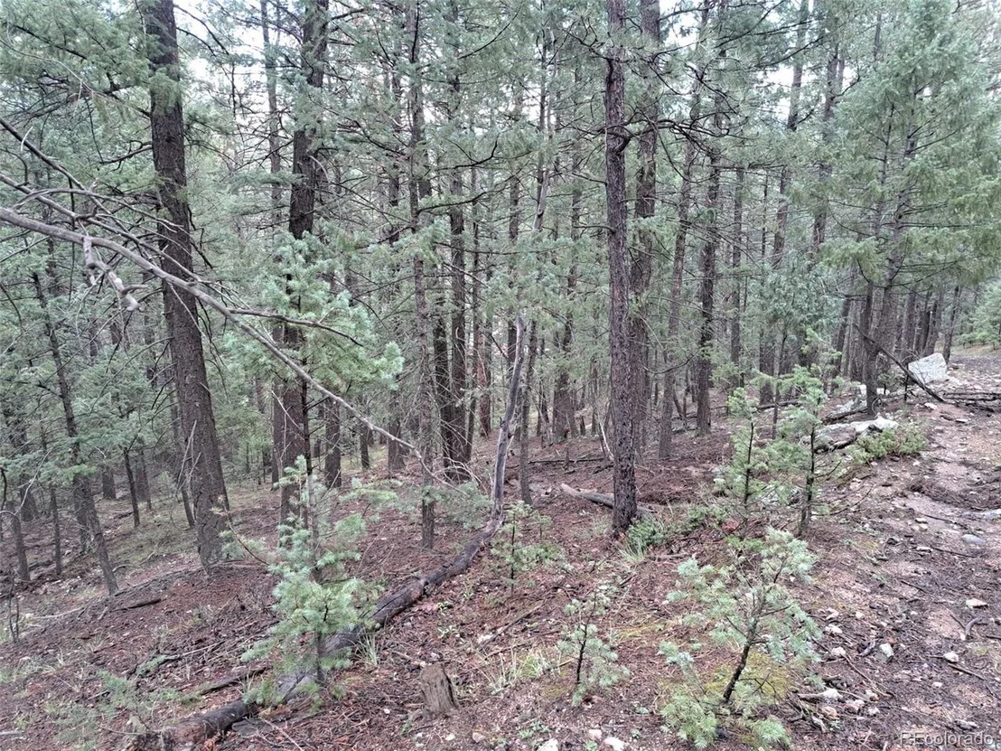 Photo of 360 Hi Meadow Dr