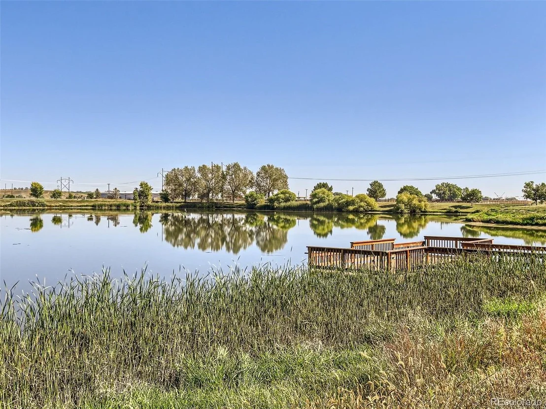 Photo of 773 Traildust Dr