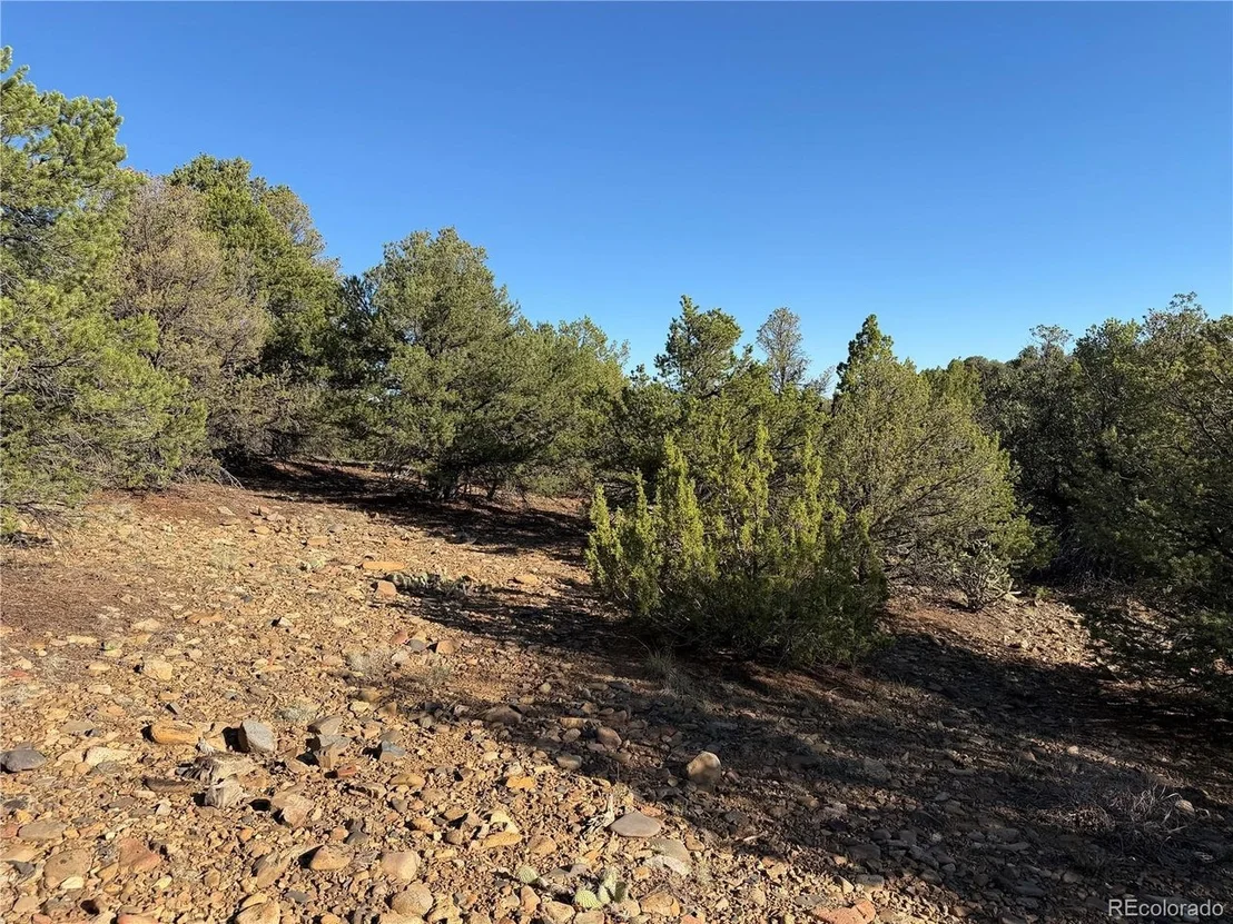 Photo of 141 River Ridge Ranch