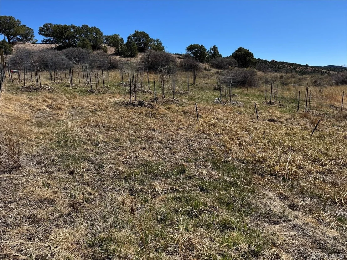 Photo of 16103 US Highway 285