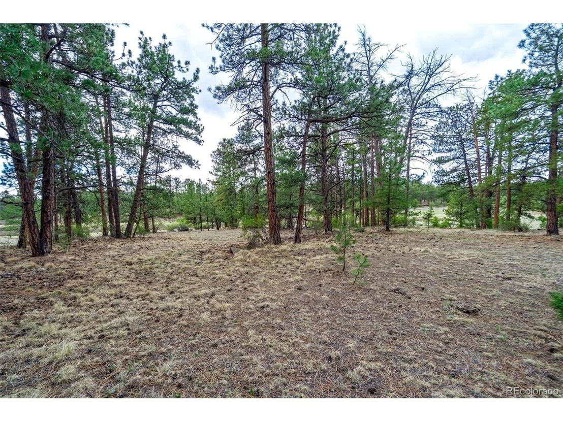 Photo of 103 Doe Valley Rd