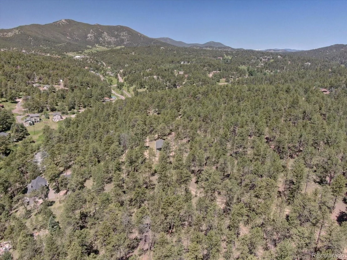 Photo of 29577 Larkspur