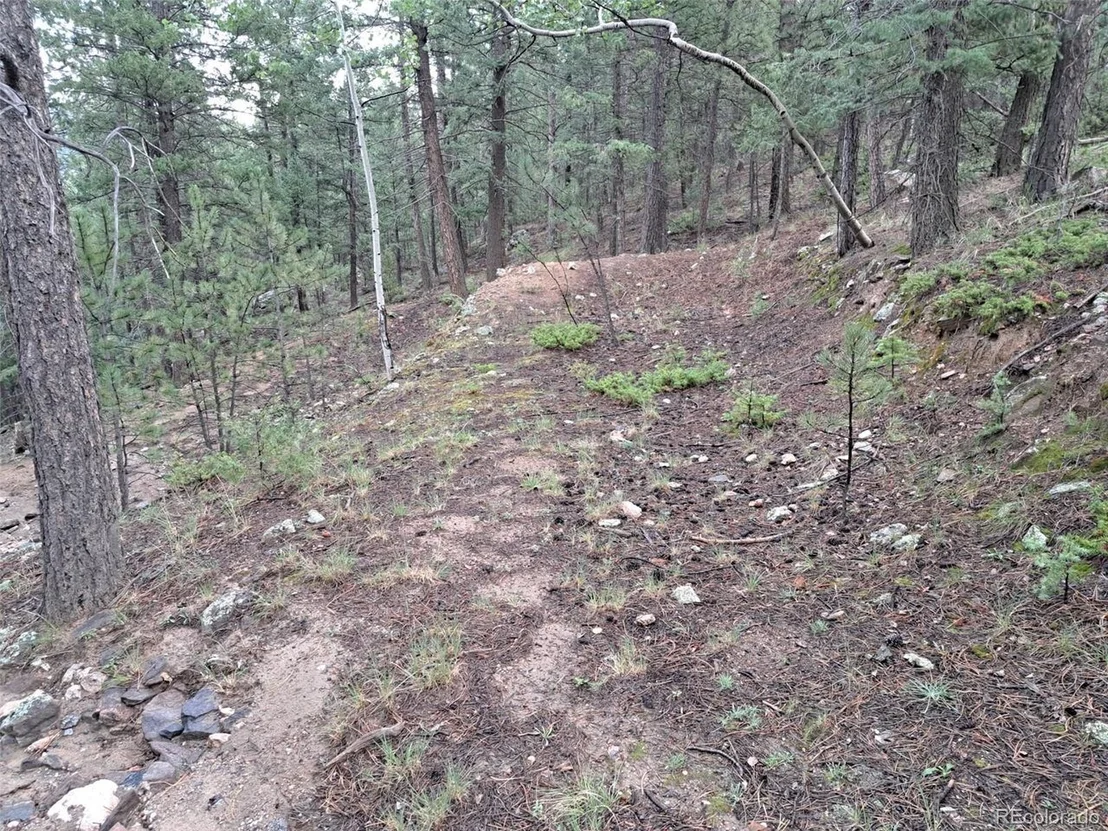 Photo of 360 Hi Meadow Dr