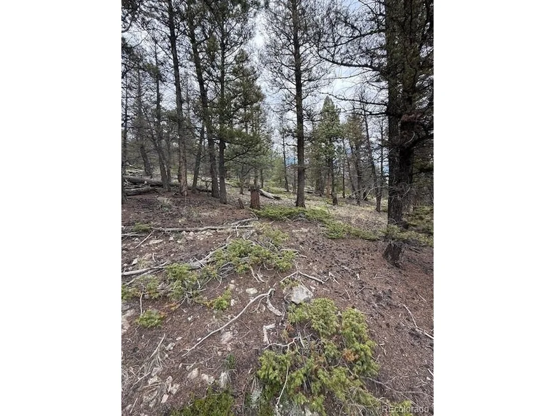 Photo of 2689 Redhill Rd