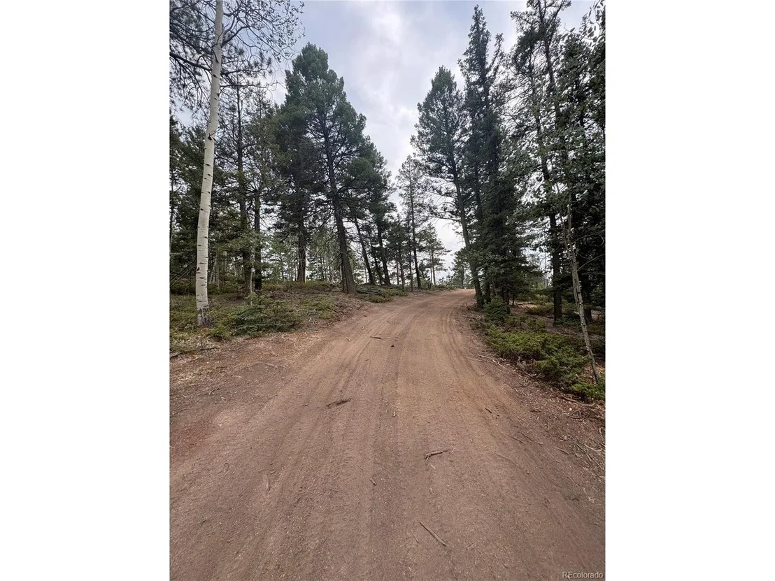 Photo of 111 Elk Creek Dr