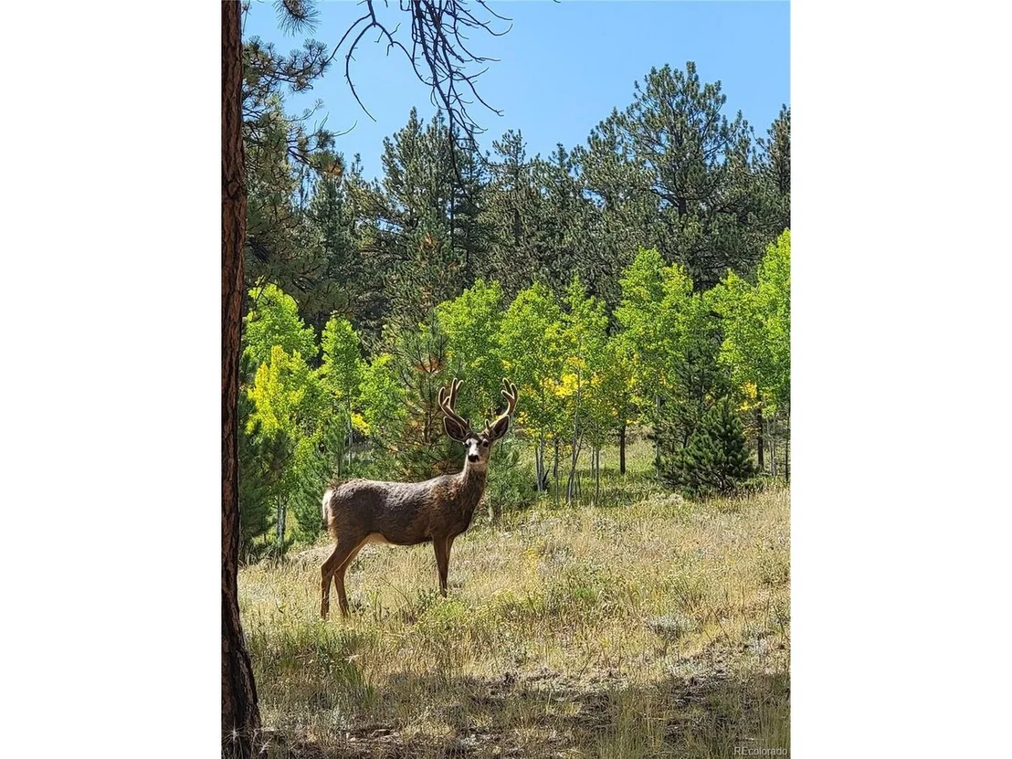 Photo of 2883 Wagon Wheel Rd